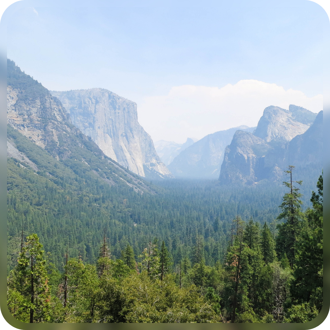 Panoramic view of a forested national park valley surrounded by mountains, illustrating the use of footfall analytics and in-store analytics for sustainable visitor management.