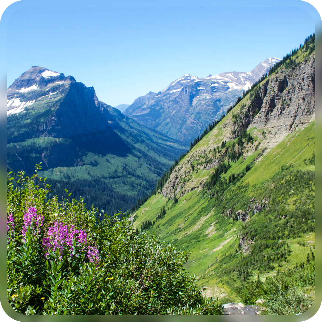 Lush green valley and snow-capped mountain range in a national park, symbolizing the use of footfall analytics and in-store analytics to manage visitor flow and support environmental conservation.