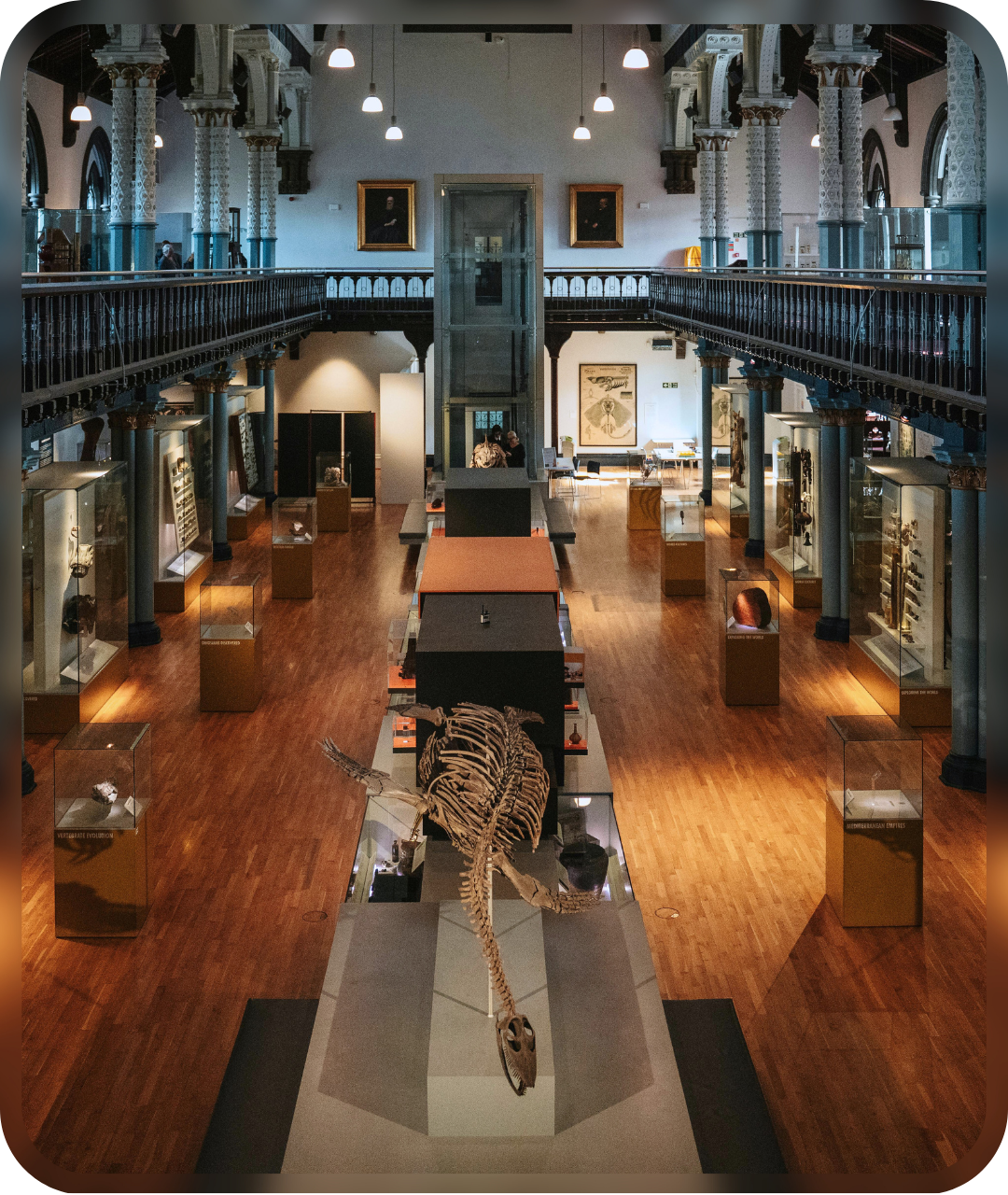 Visitor Flow Dashboard Visualization